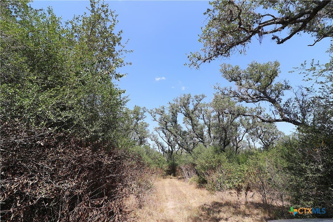 34.71 acres in Goliad County - photo 29