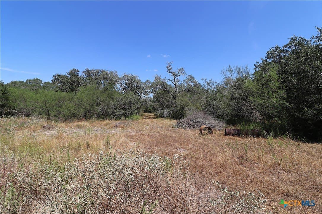 34.71 acres in Goliad County - photo 13