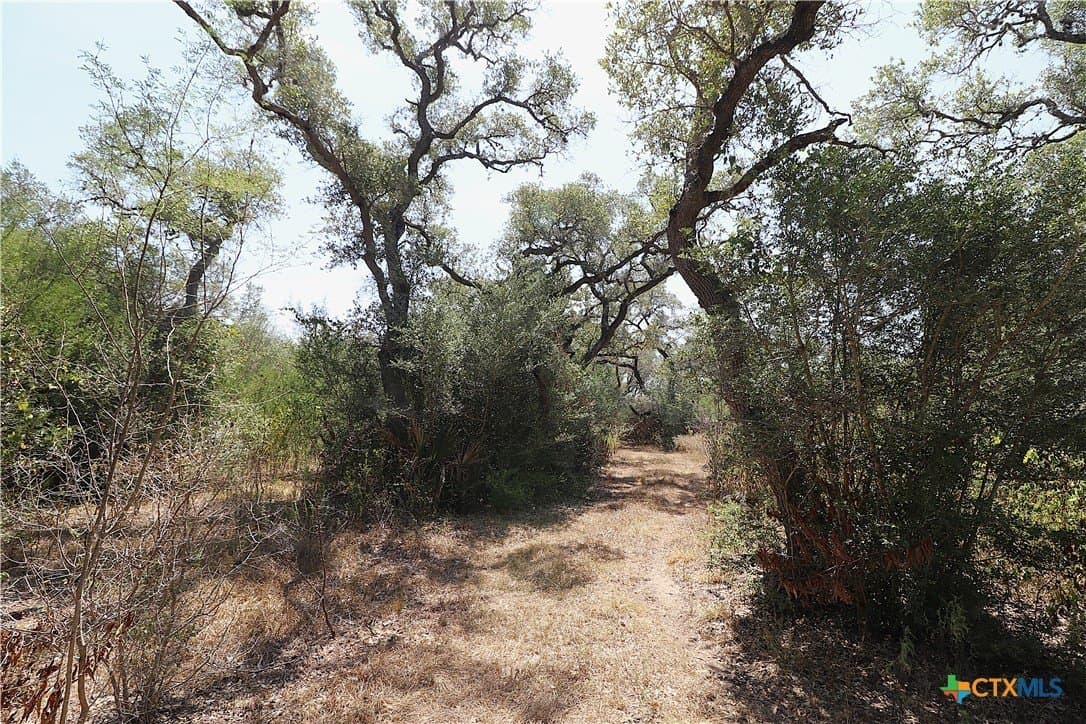 34.71 acres in Goliad County - photo 31