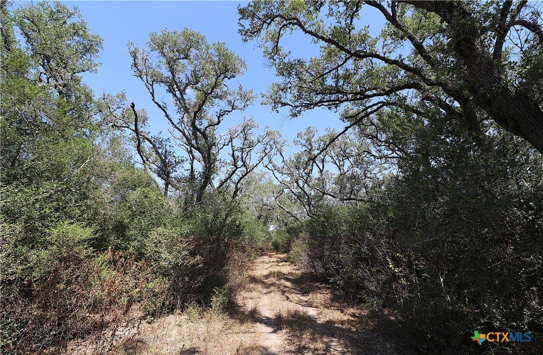 34.71 acres in Goliad County - photo 30