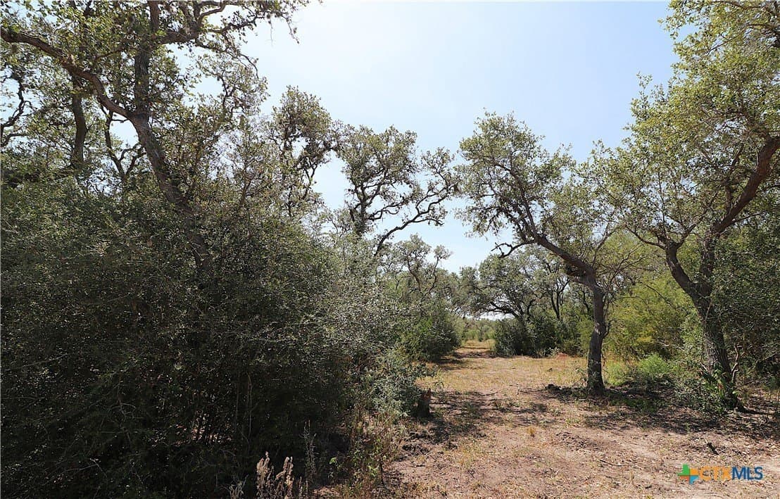 34.71 acres in Goliad County - photo 9
