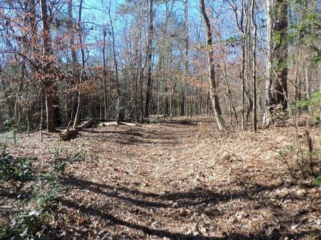 0.72 acres in Gregg County gallery image 2
