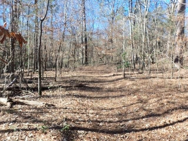 0.72 acres in Gregg County gallery image 4