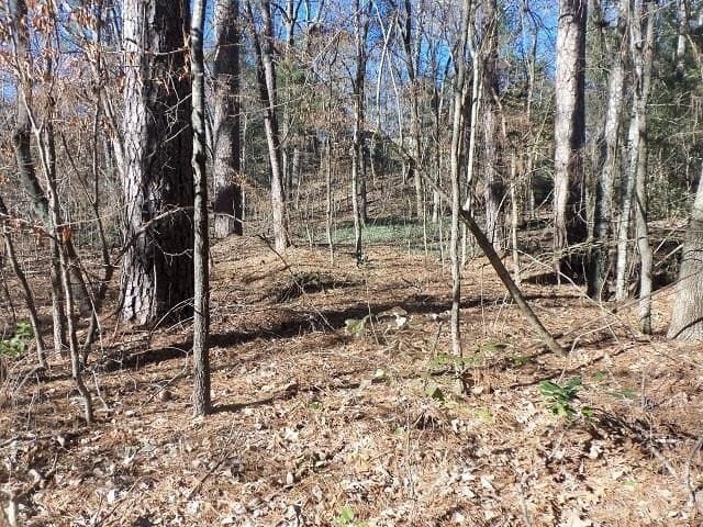0.72 acres in Gregg County gallery image 3
