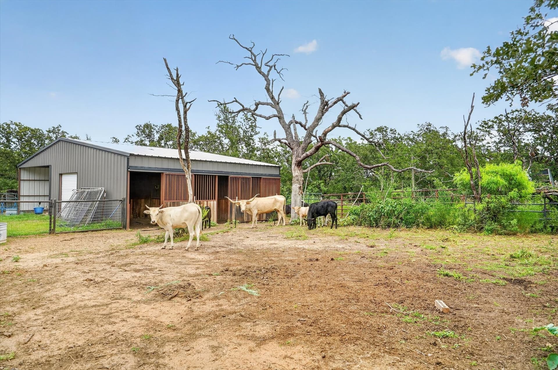 18.46 acres in Wise County - photo 33