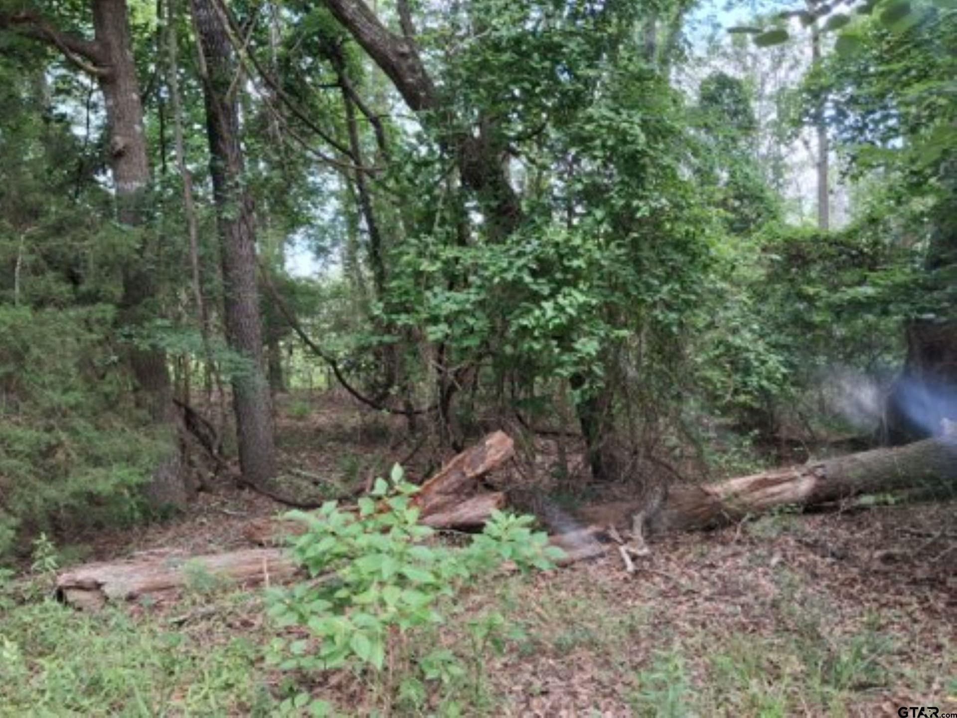 0.88 acres in Van Zandt County featured view