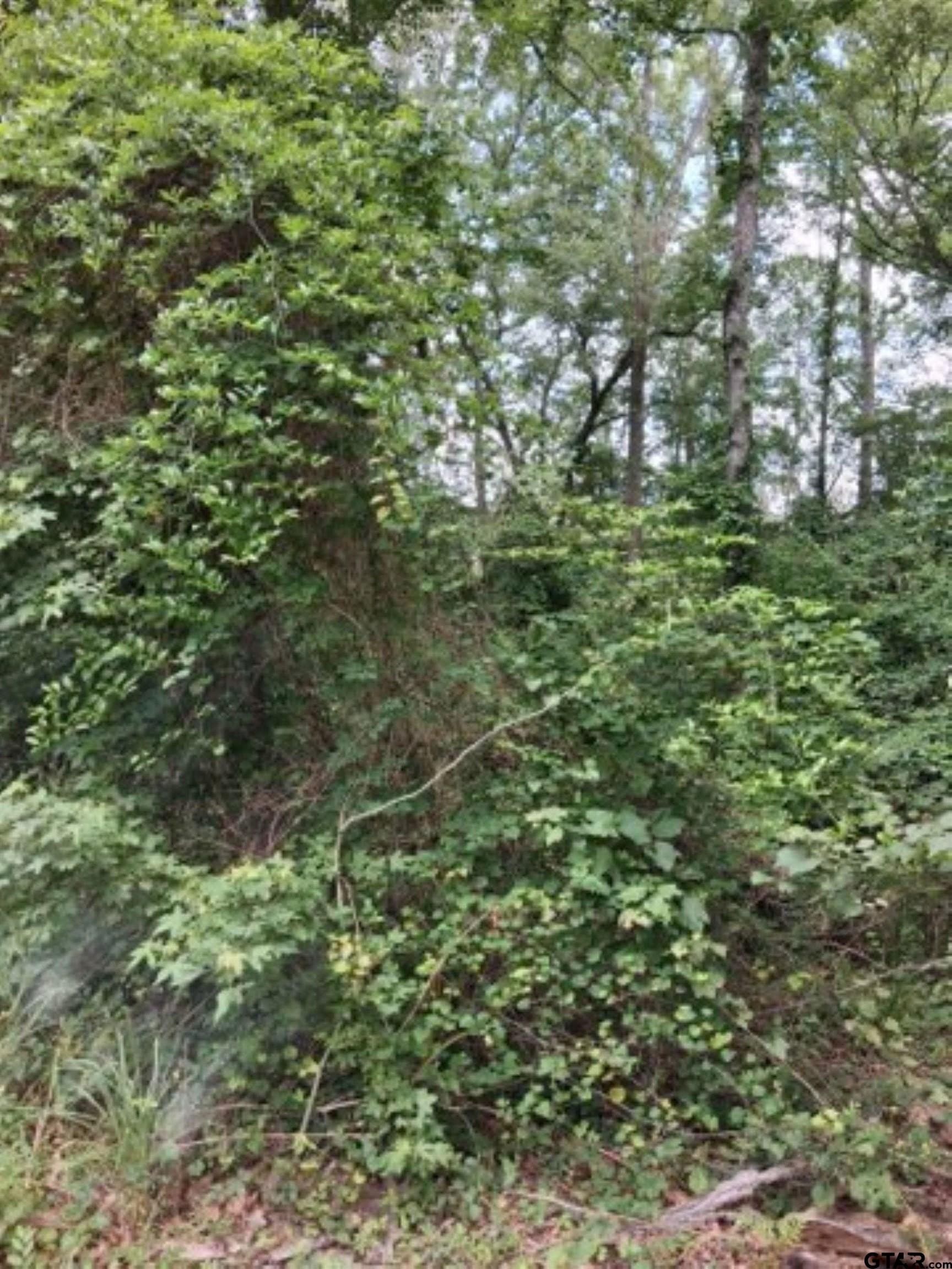 0.88 acres in Van Zandt County gallery image 3