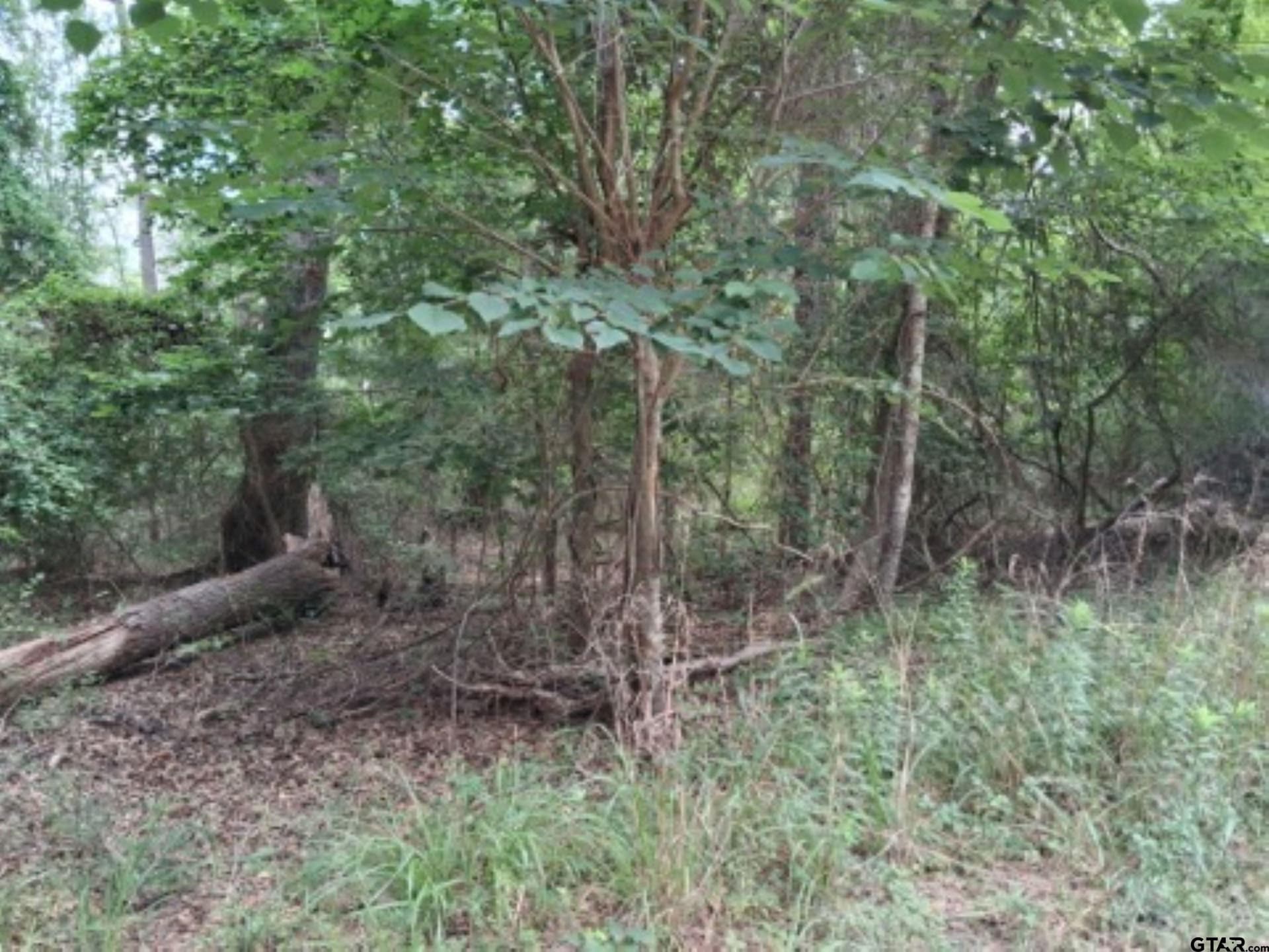 0.88 acres in Van Zandt County - photo 6