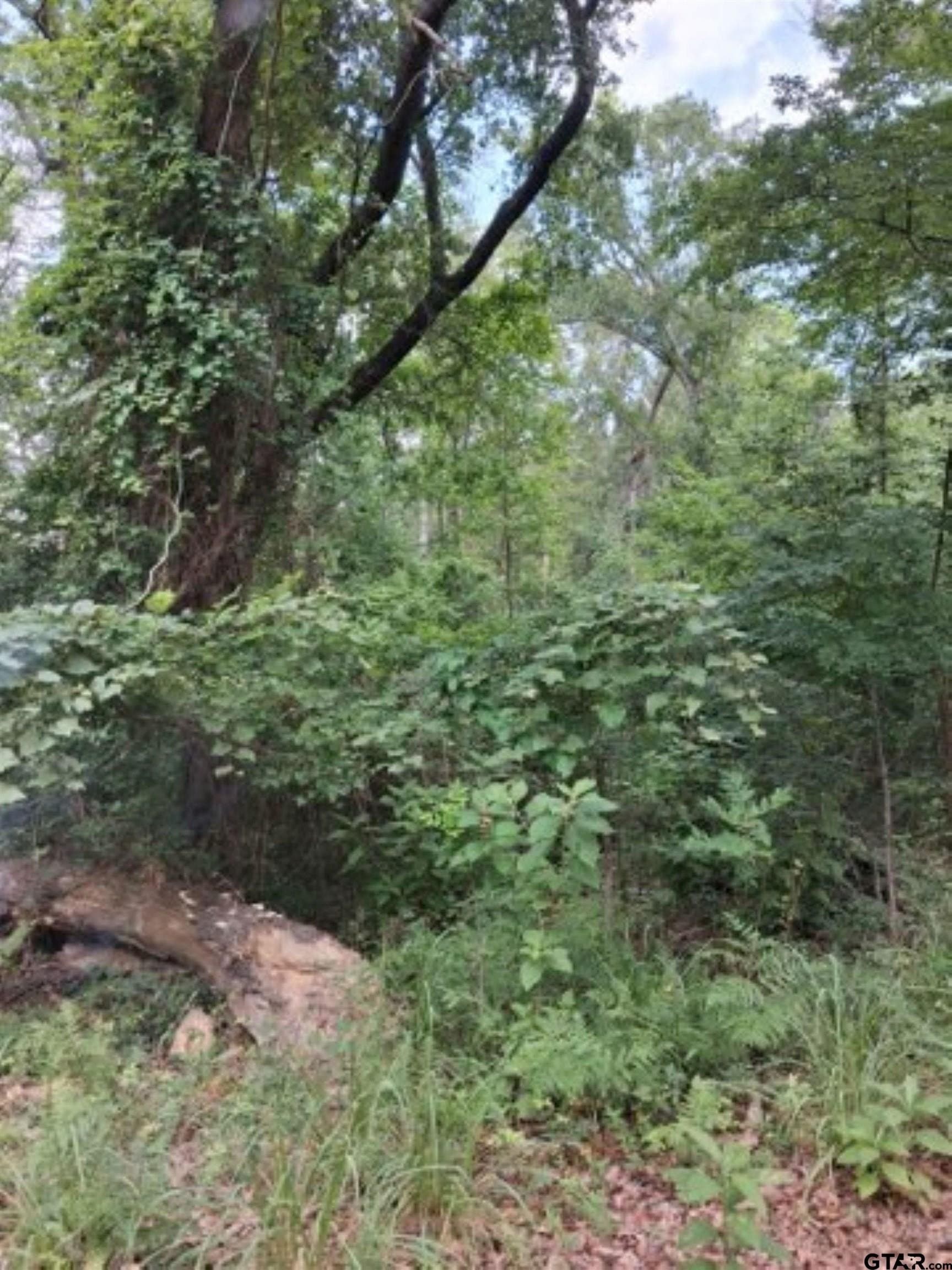 0.88 acres in Van Zandt County gallery image 2