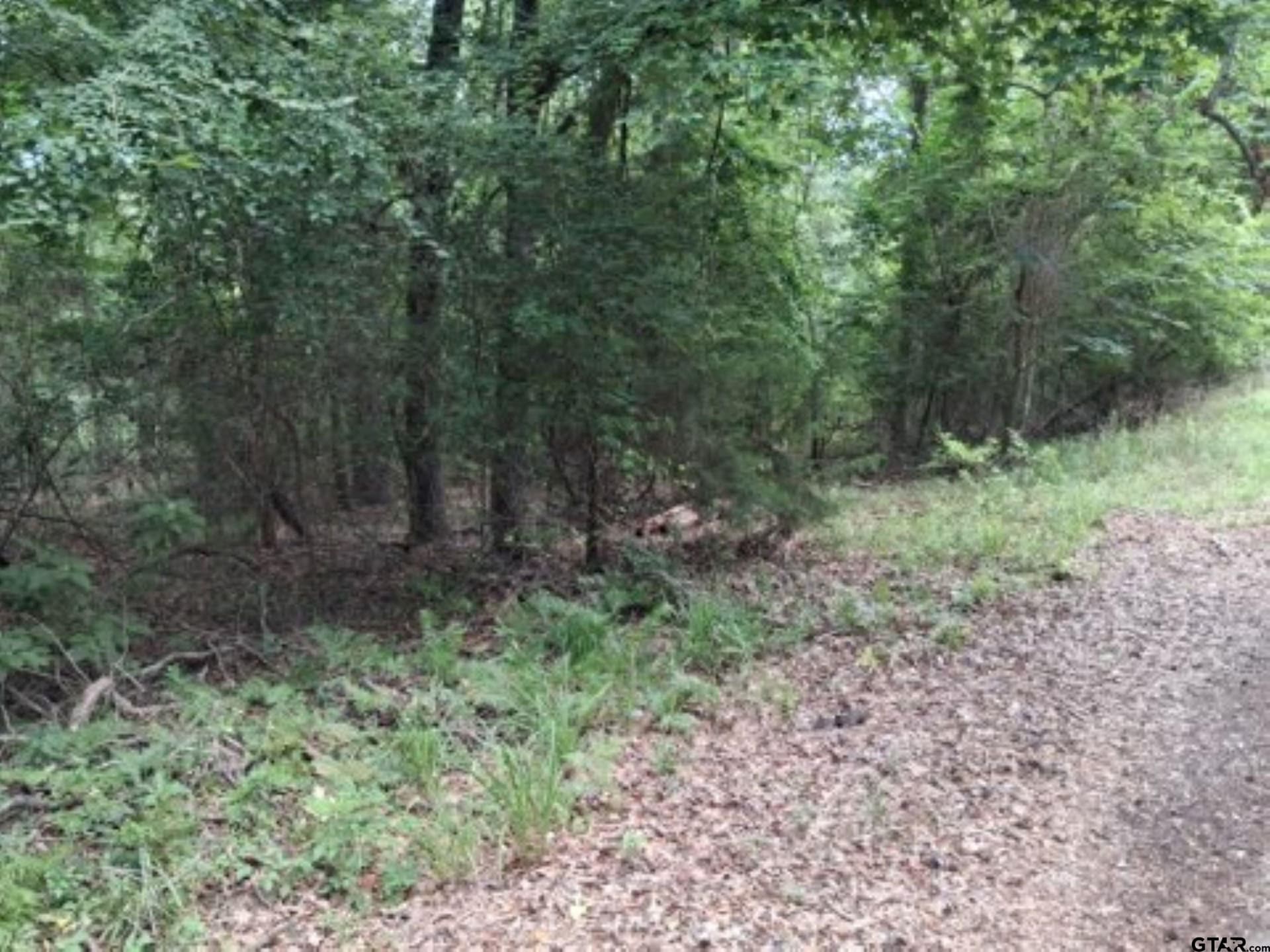 0.88 acres in Van Zandt County - photo 8