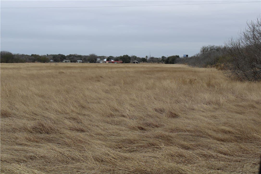 20 acres in San Patricio County gallery image 4