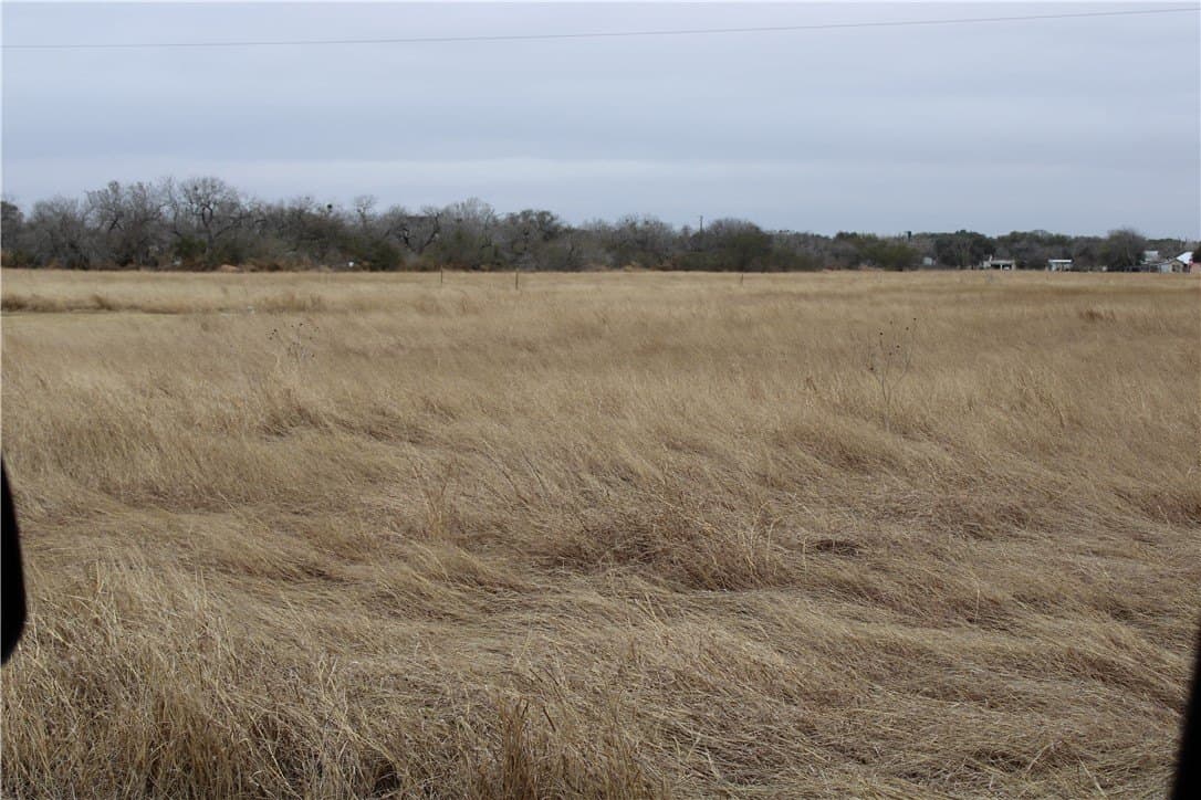 20 acres in San Patricio County featured view