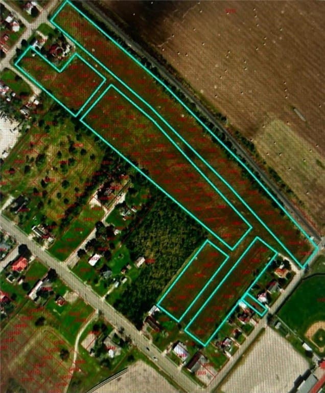 20 acres in San Patricio County gallery image 2