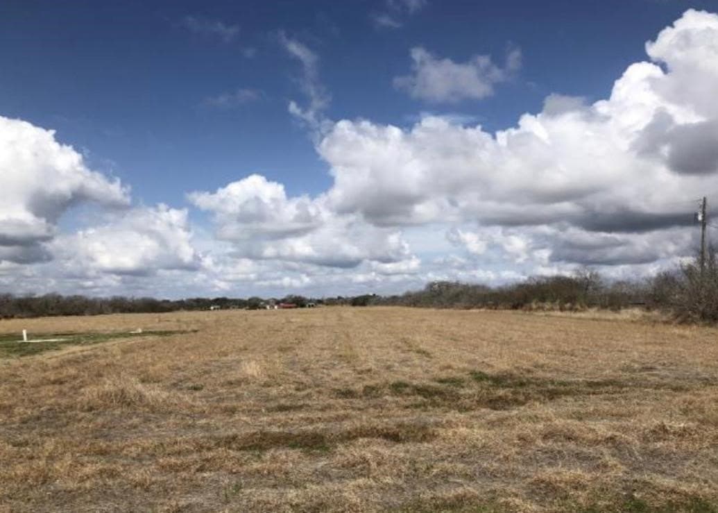 20 acres in San Patricio County gallery image 3