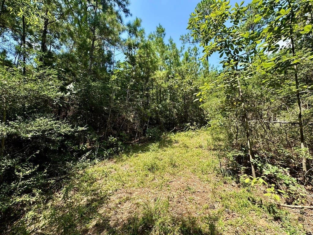5.13 acres in Texas County - photo 8