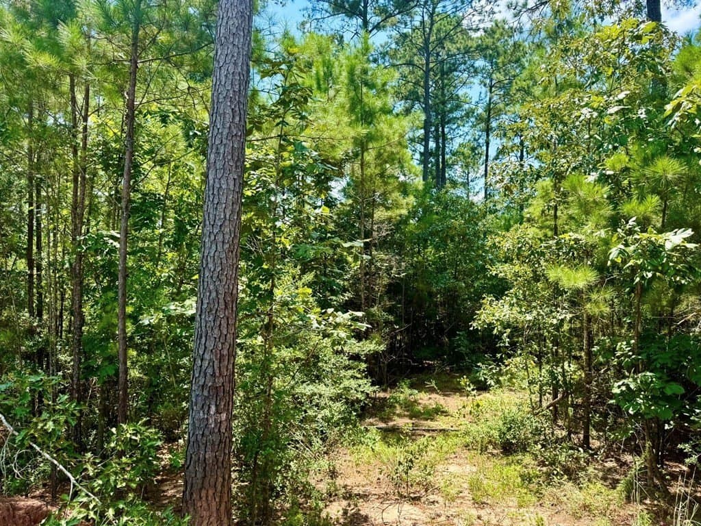 5.13 acres in Texas County - photo 9