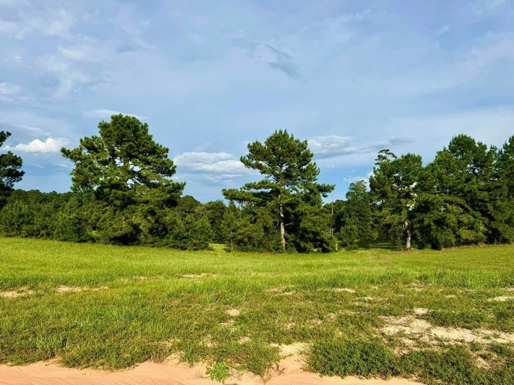 5.13 acres in Texas County - photo 11