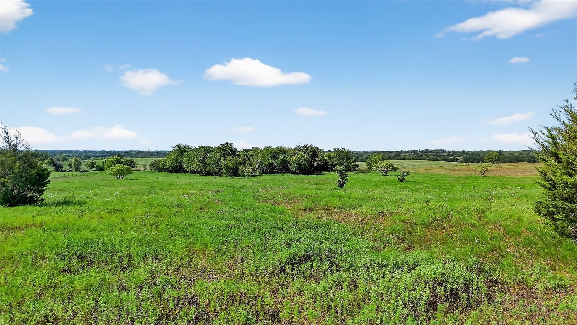10 acres in Fannin County - photo 19