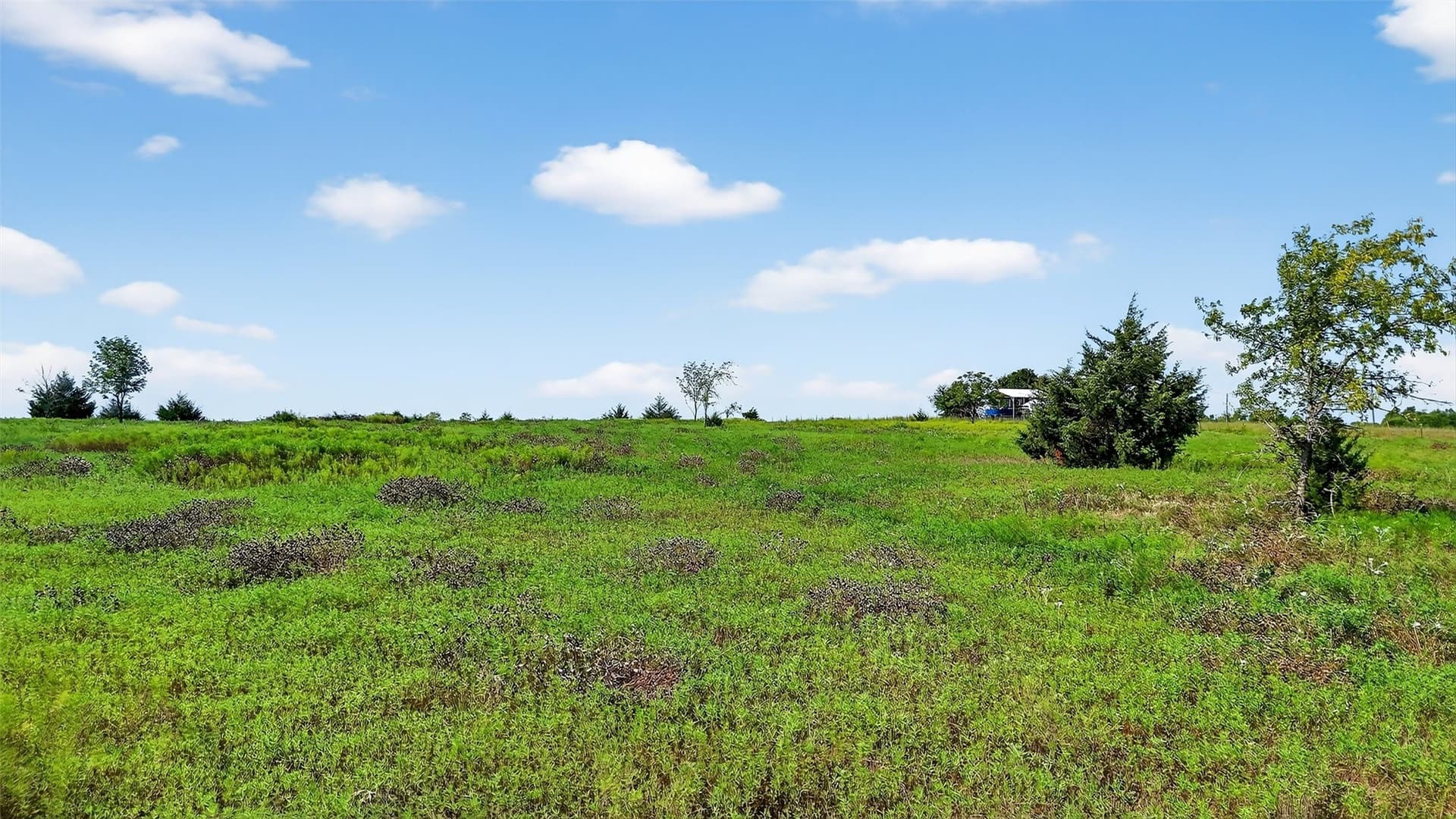 10 acres in Fannin County - photo 20