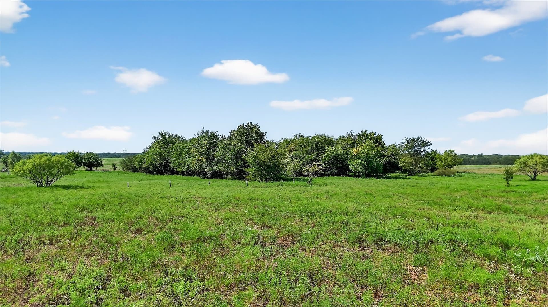 10 acres in Fannin County - photo 17