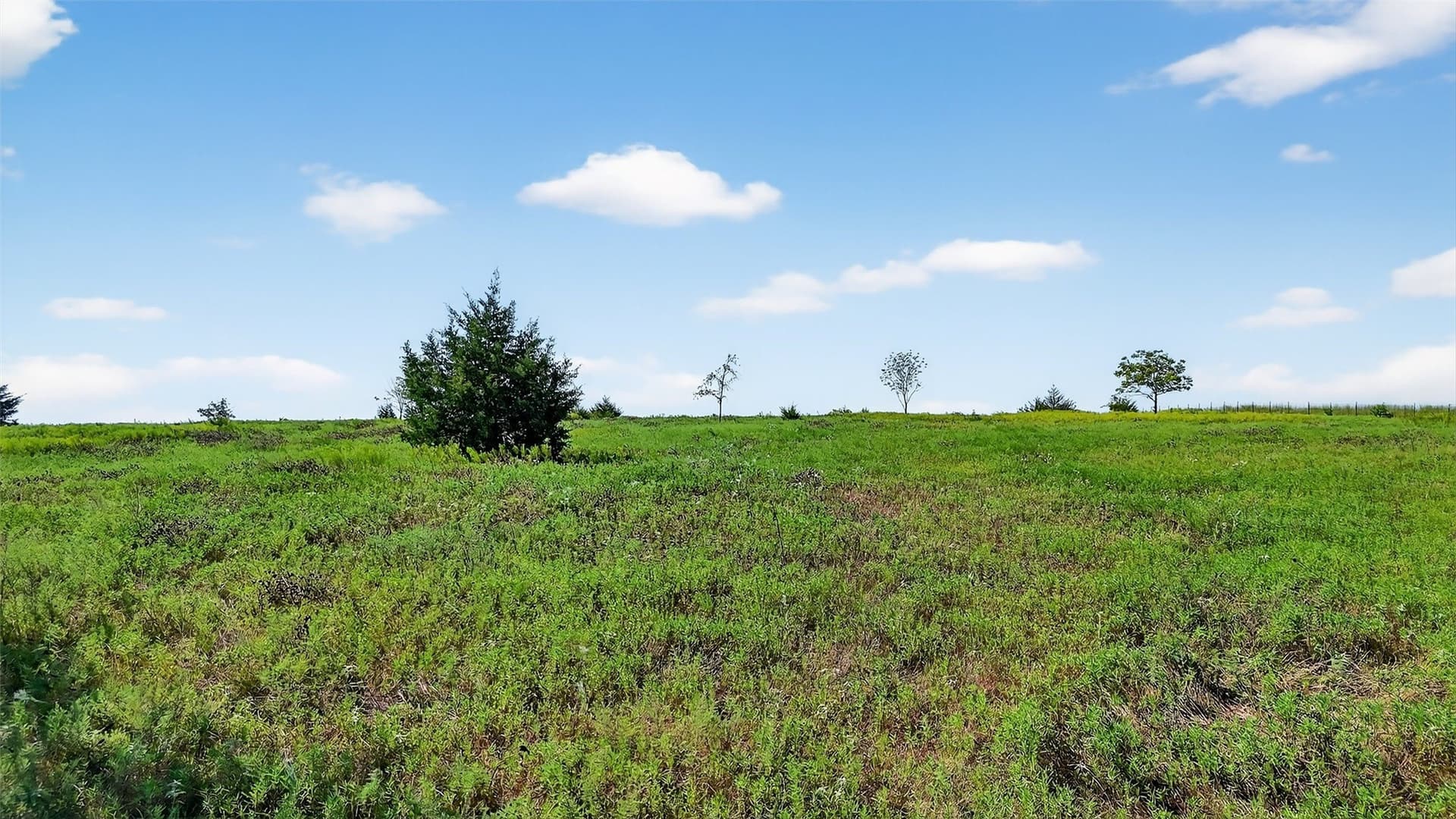 10 acres in Fannin County - photo 21