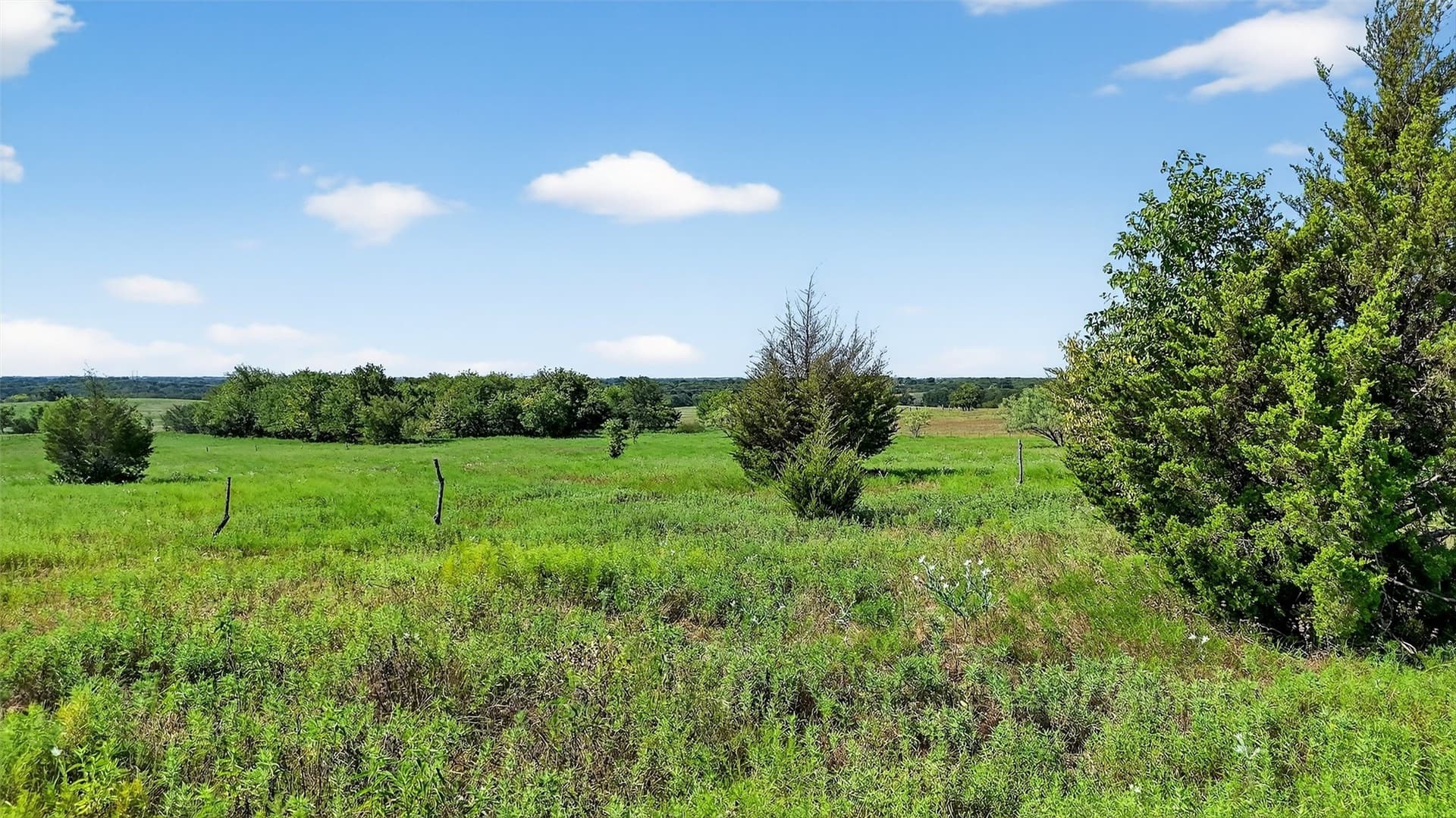 10 acres in Fannin County - photo 18