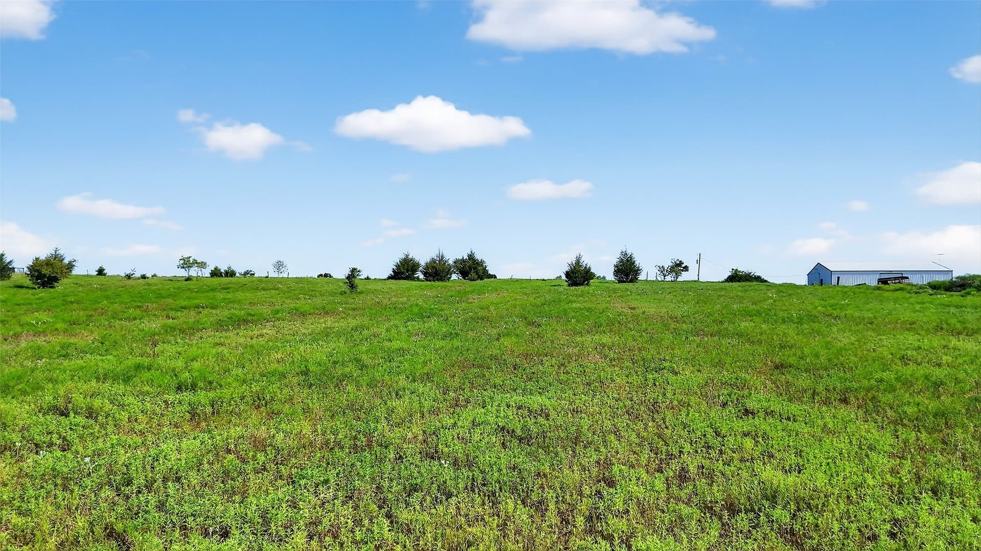 10 acres in Fannin County - photo 16
