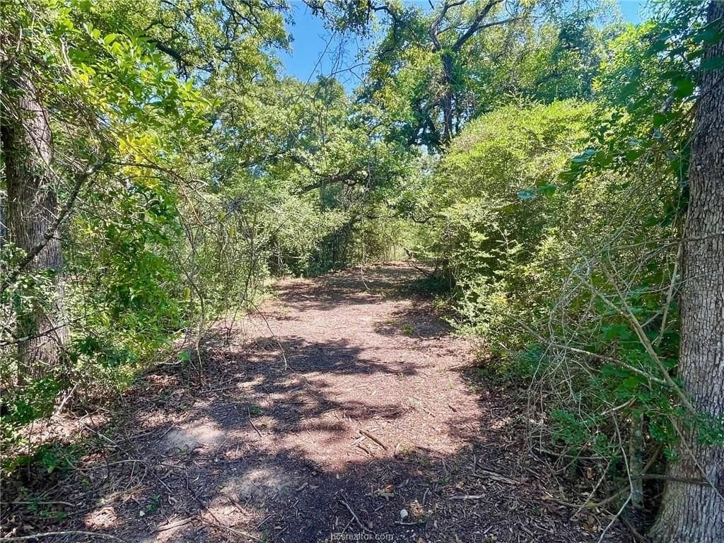 2.13 acres in Leon County featured view
