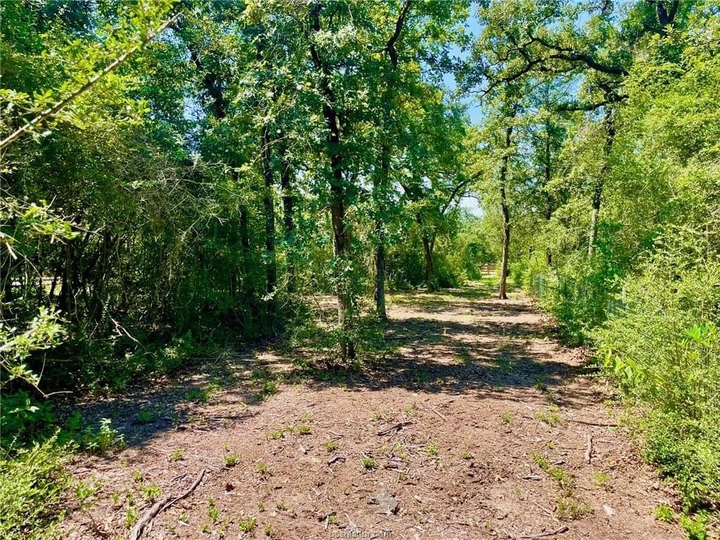 2.13 acres in Leon County - photo 14
