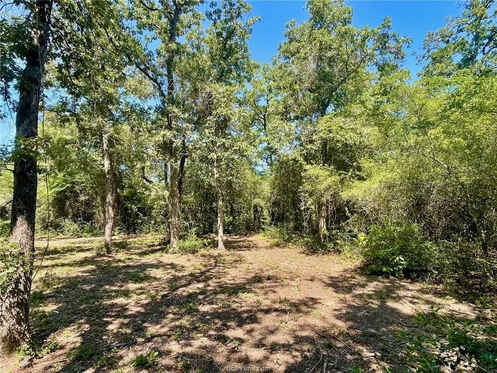 2.13 acres in Leon County - photo 8