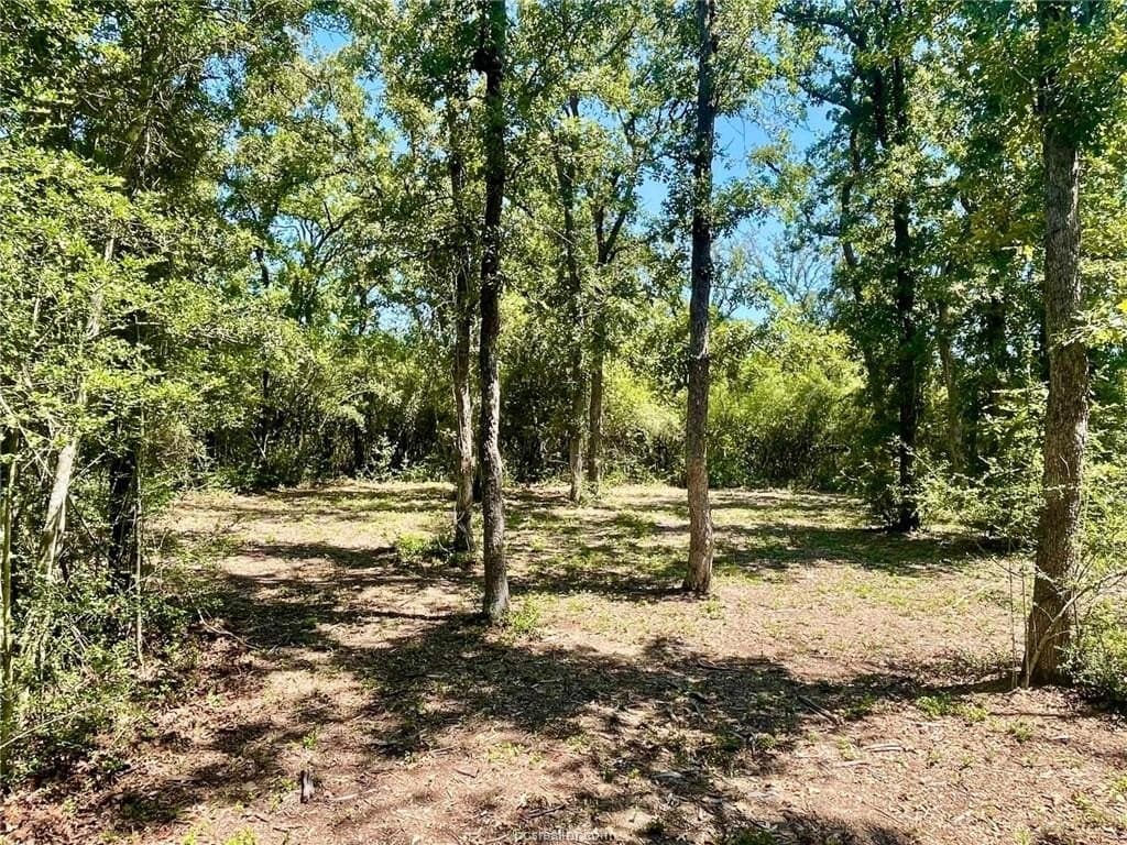 2.13 acres in Leon County - photo 10