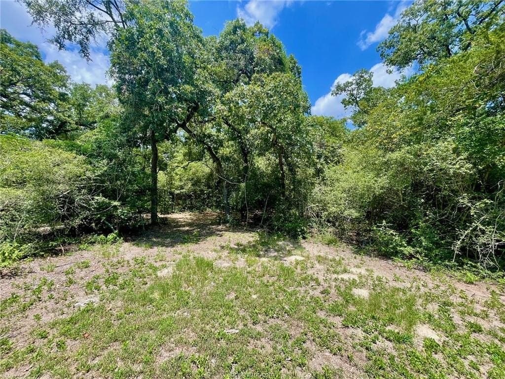 2.13 acres in Leon County - photo 18