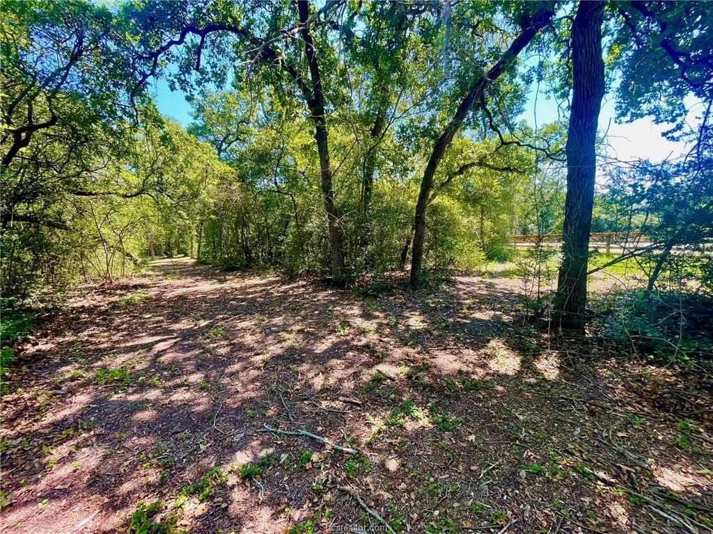 2.13 acres in Leon County - photo 13