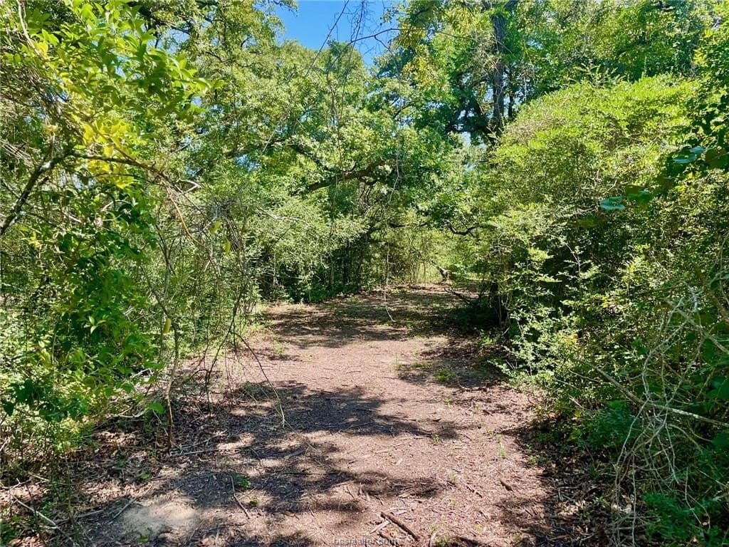 2.13 acres in Leon County - photo 6