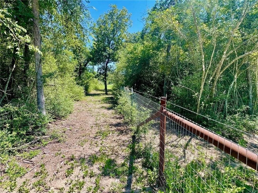 2.13 acres in Leon County - photo 11