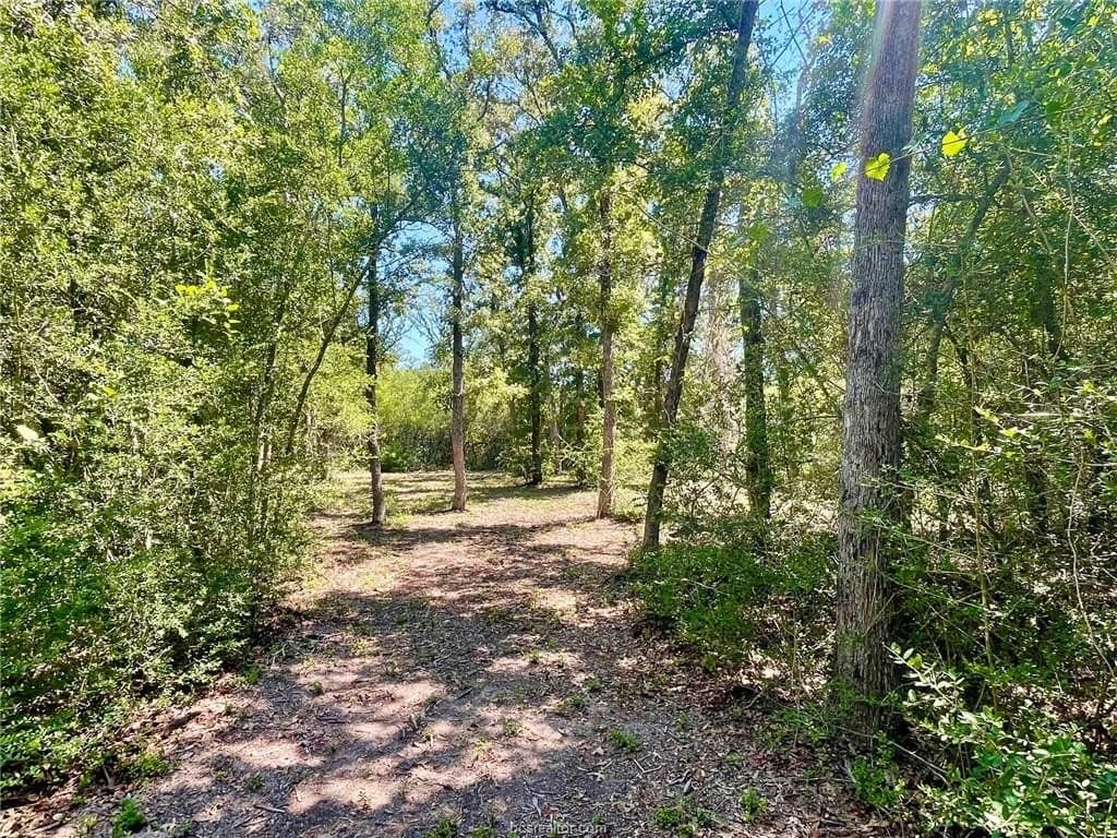 2.13 acres in Leon County - photo 9