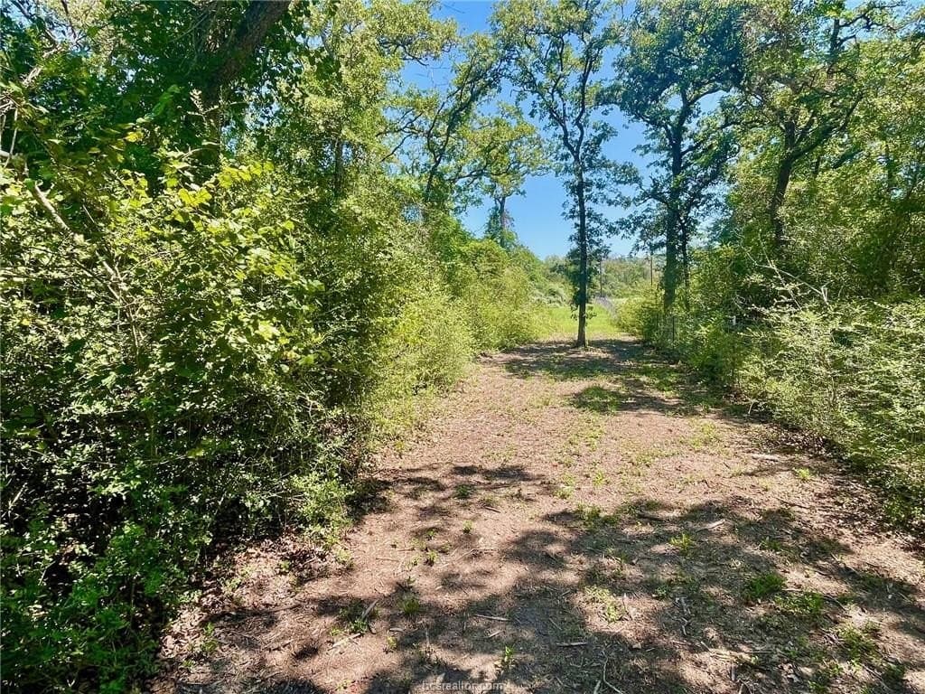 2.13 acres in Leon County - photo 12