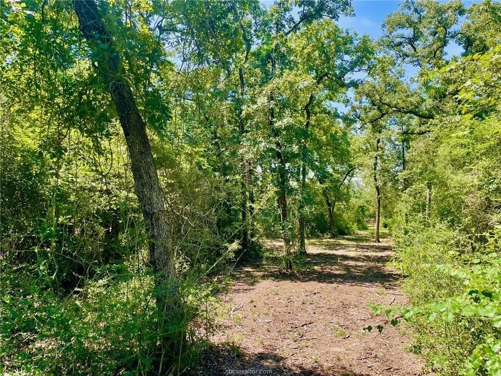 2.13 acres in Leon County - photo 19