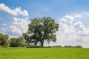 20.58 acres in Comanche County - photo 3