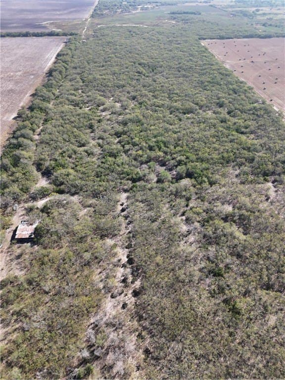 25 acres in Kleberg County featured view