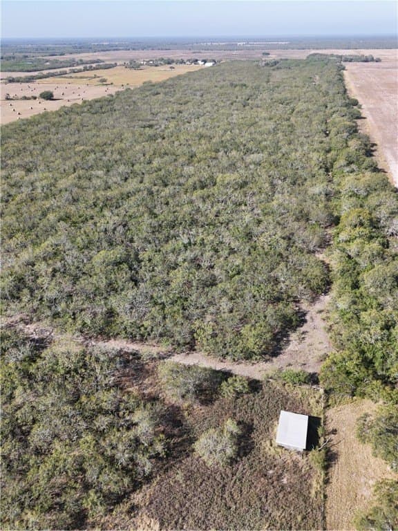 25 acres in Kleberg County gallery image 2