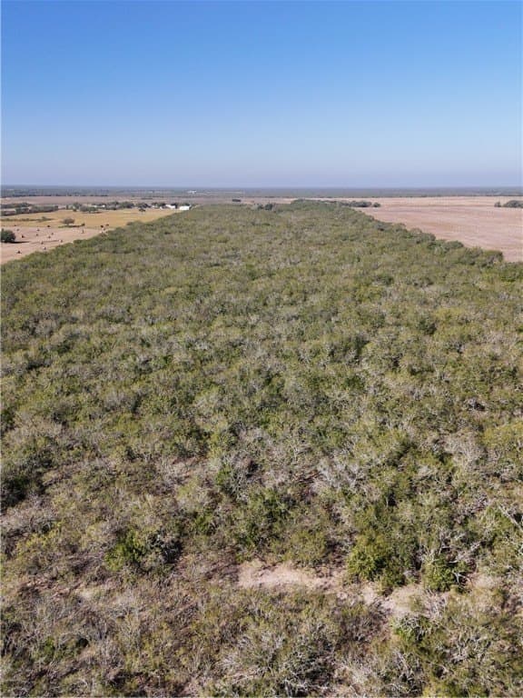 25 acres in Kleberg County gallery image 4