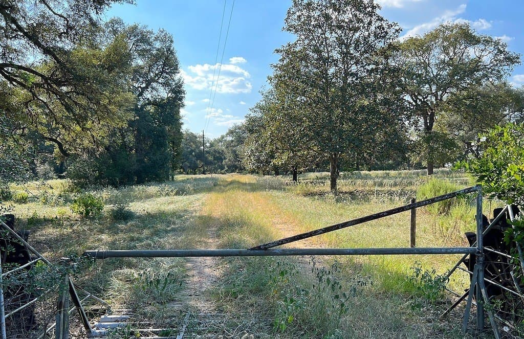 20 acres in Colorado County - photo 3