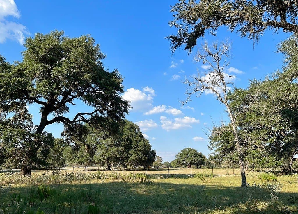 20 acres in Colorado County - photo 12