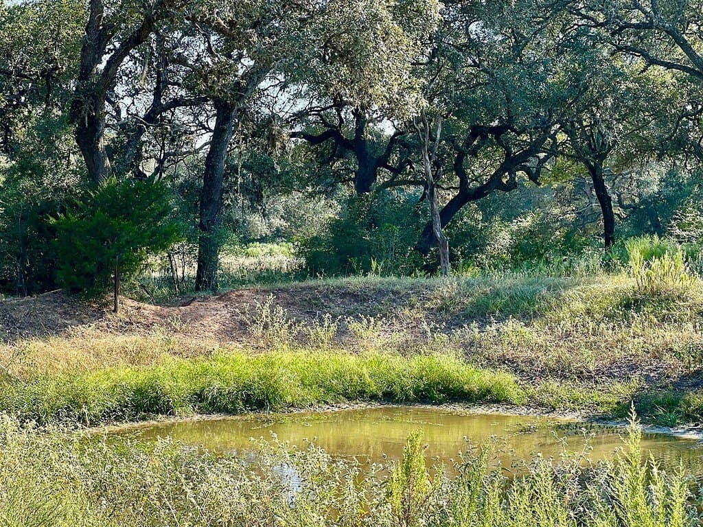 20 acres in Colorado County - photo 10