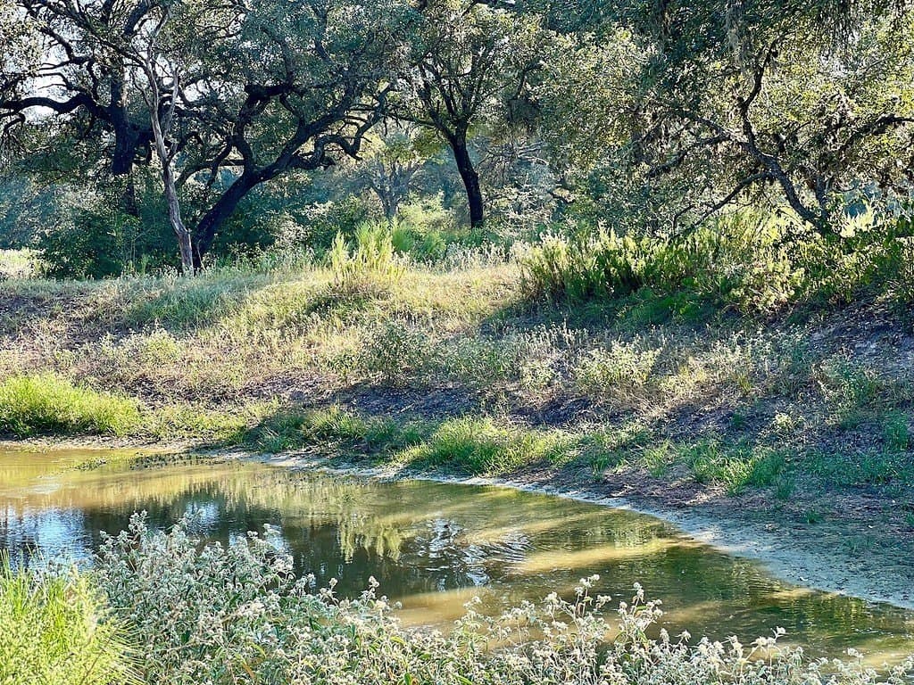 20 acres in Colorado County - photo 9