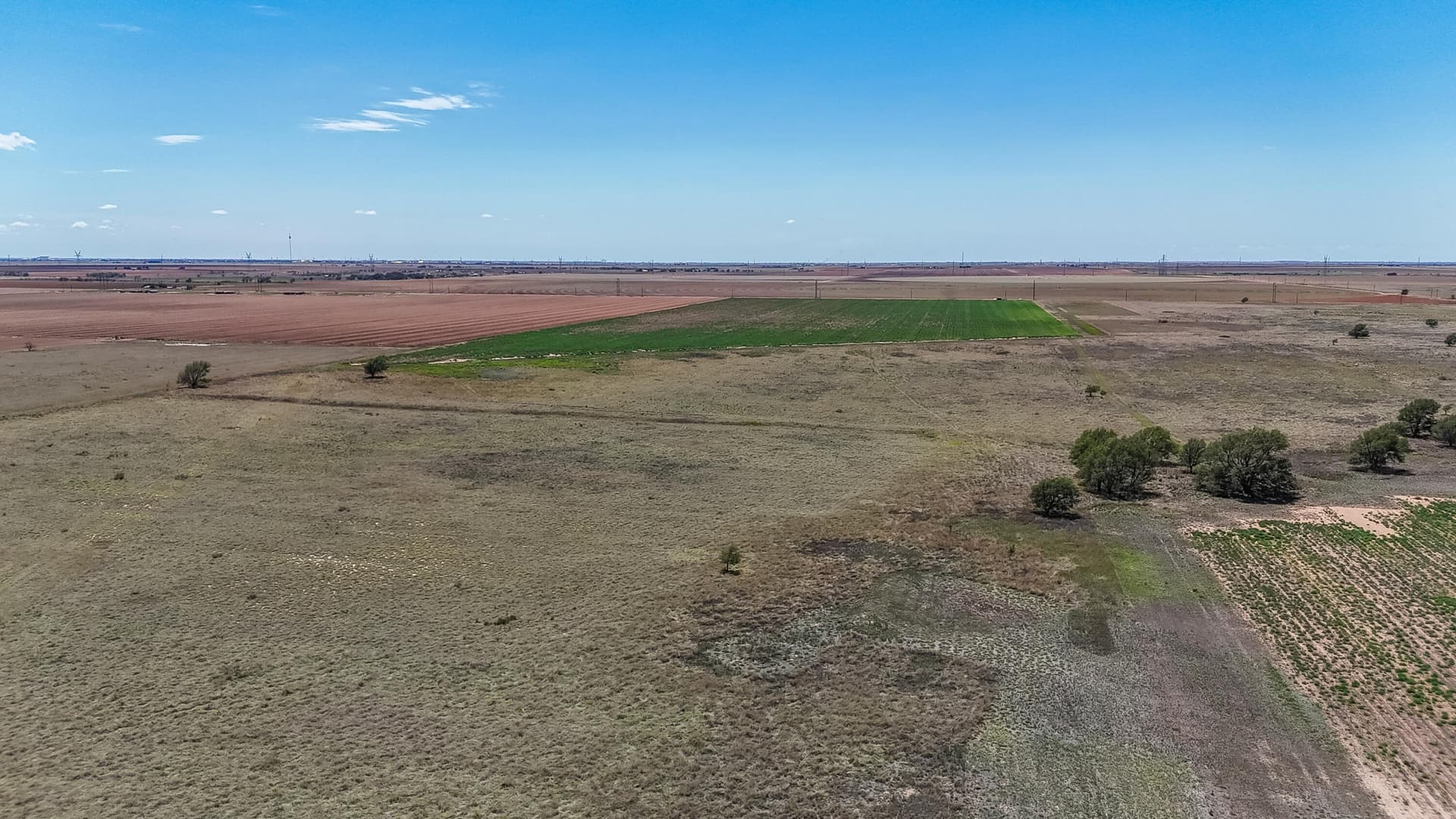 19.4 acres in Lubbock County - photo 15
