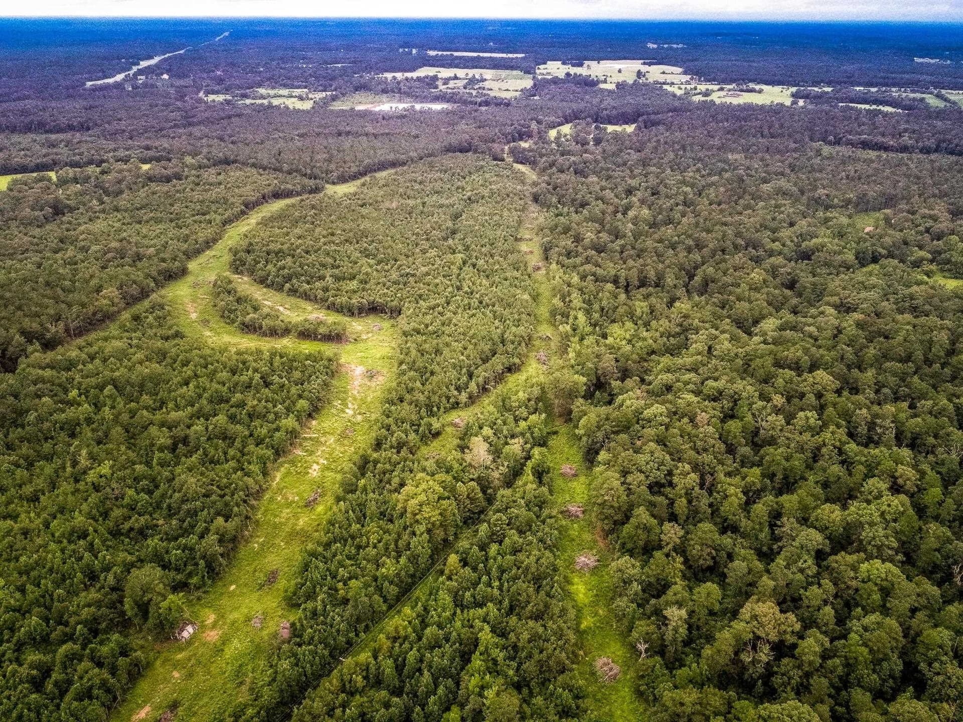 150.17 acres in Panola County - photo 6