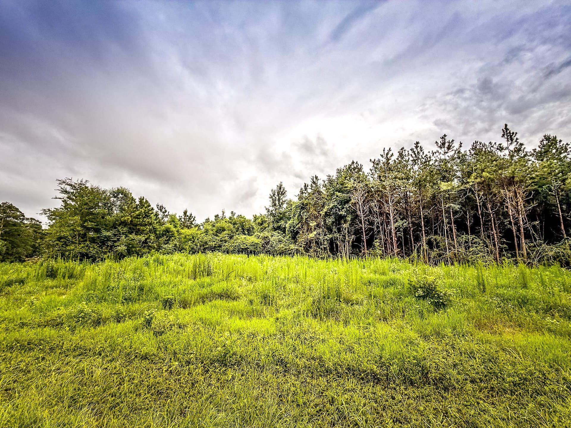 150.17 acres in Panola County - photo 12