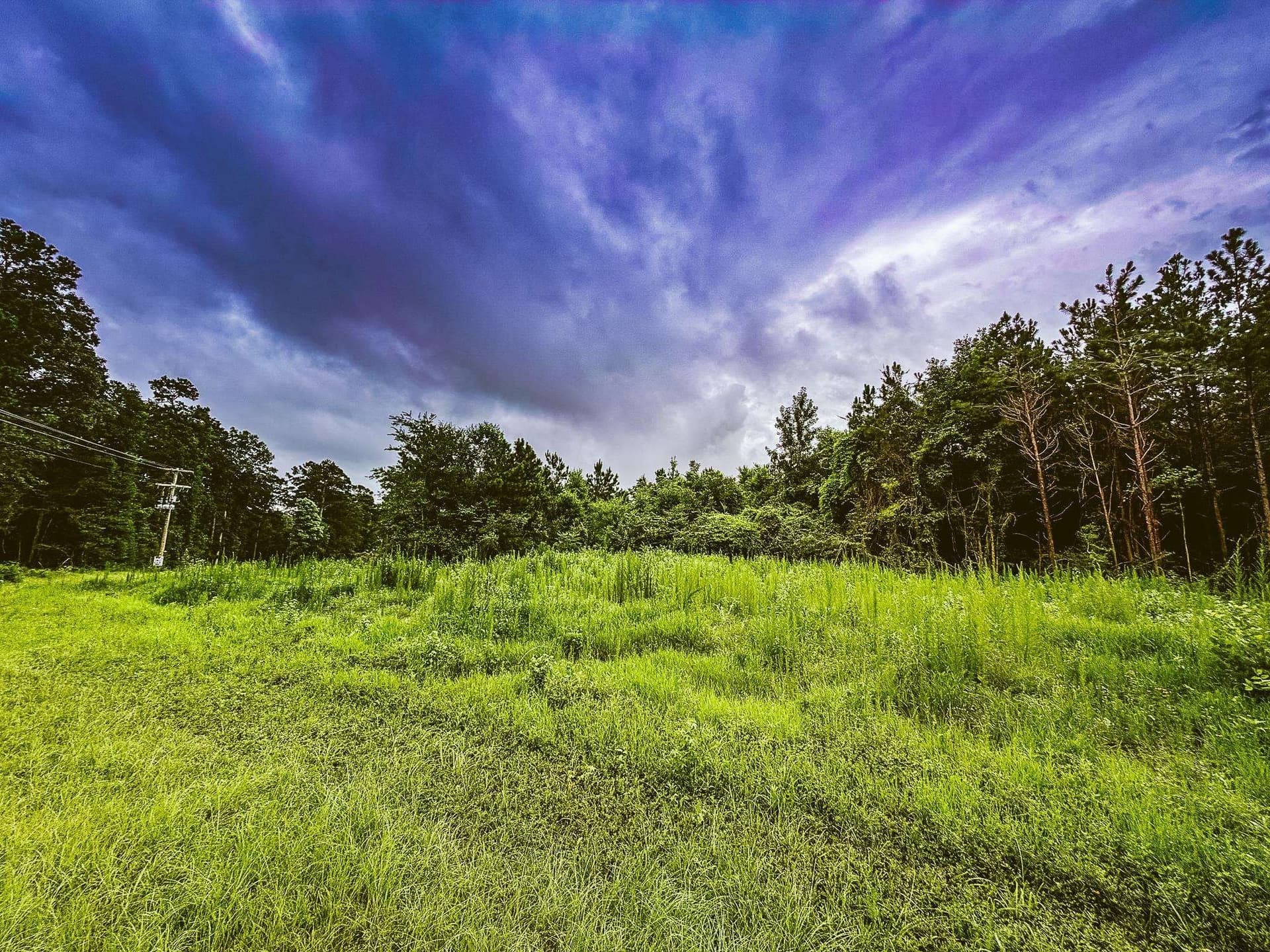 150.17 acres in Panola County - photo 9